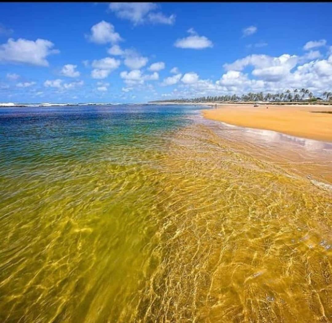 Terreo 3 Master Treebies A Beira Mar Bahia Apartment *