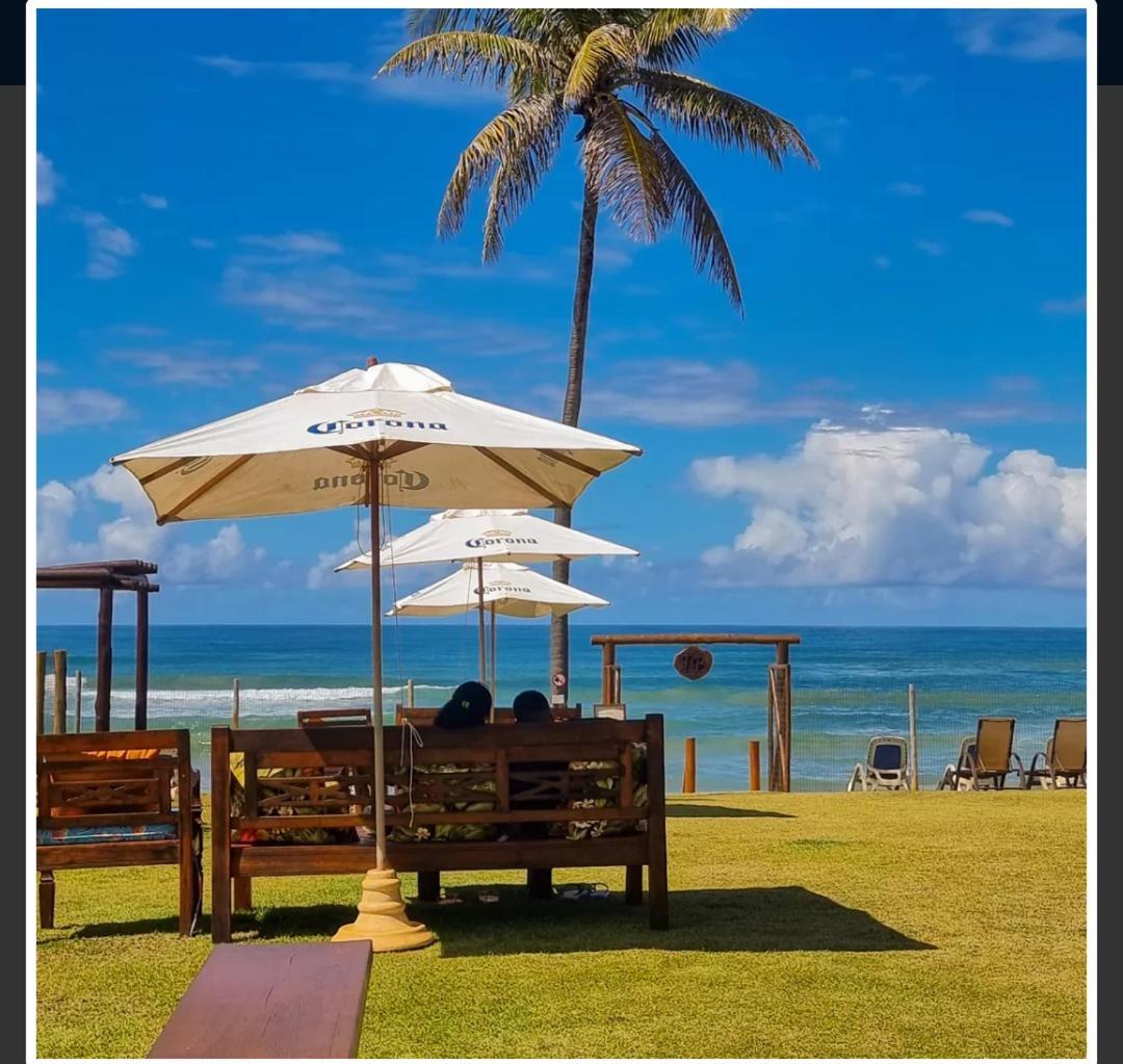 Terreo 3 Master Treebies A Beira Mar Bahia